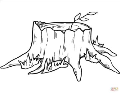 Oud verhaal of Nieuw begin?