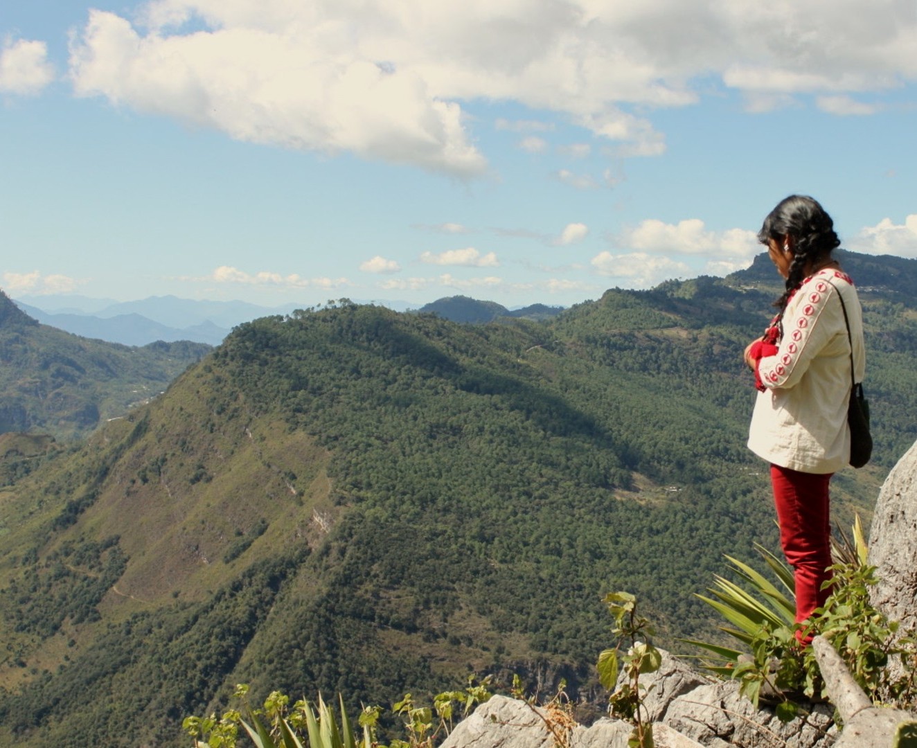 Documentaire - 'De Thuiskomst'